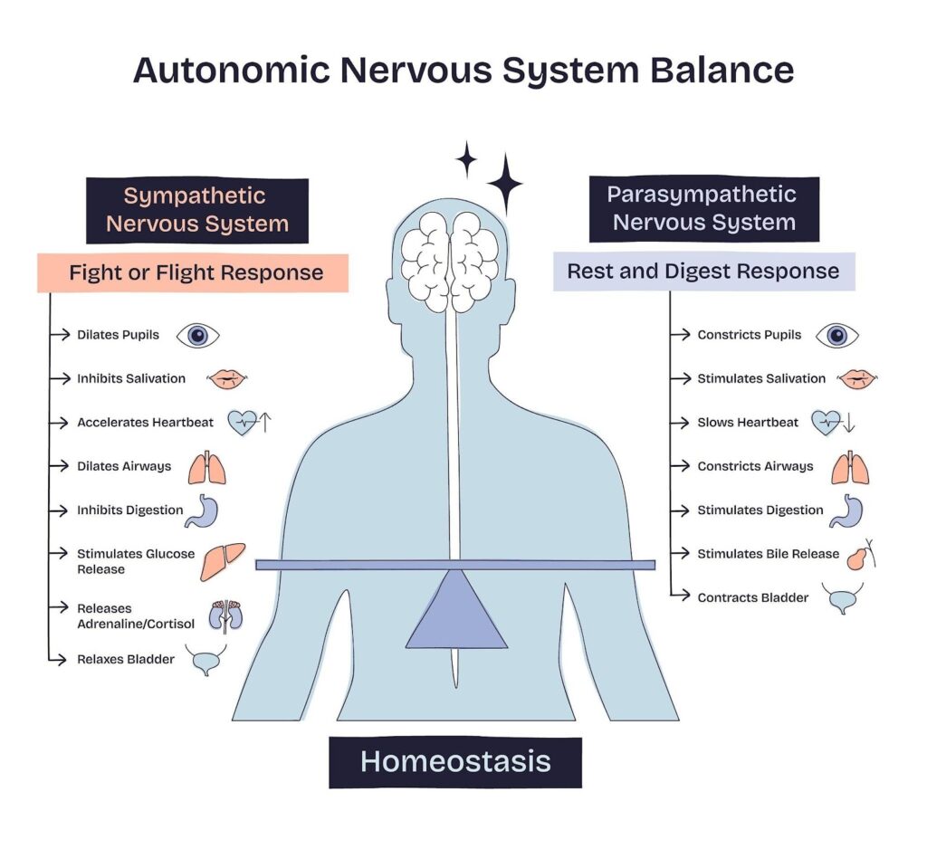Acupuncture Helps Reduce Stress