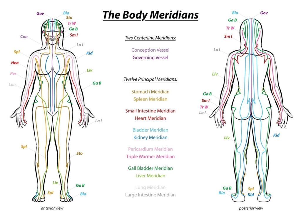 The body meridians